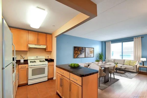a kitchen with stainless steel appliances granite countertop a stove and a refrigerator