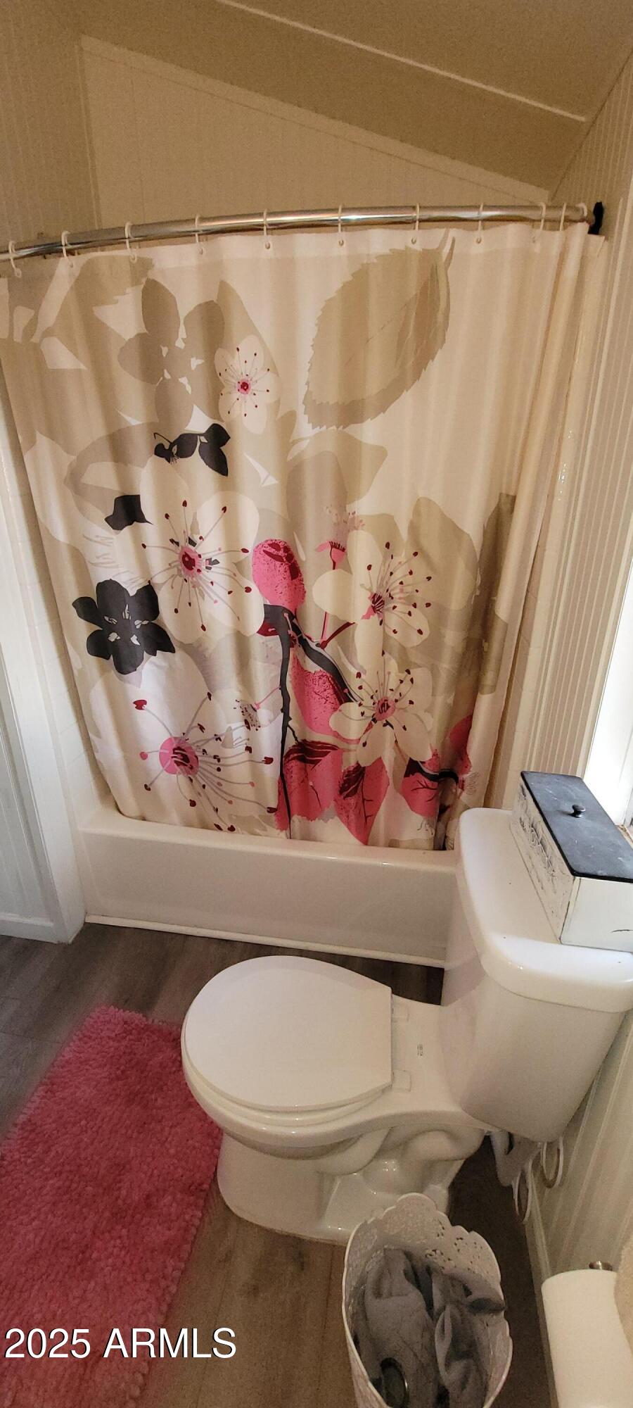 22219 West Blue Sky Drive, Unit CASITA Wittmann, AZ 85361 - Photo 10 of 15 a bathroom with a toilet and shower curtain