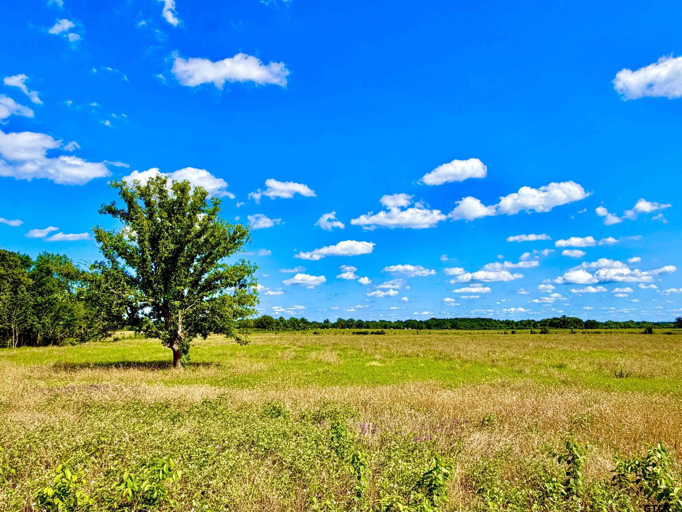 Tbd Cooper Settlement Road Crockett, TX 75835 - Photo 2 of 11