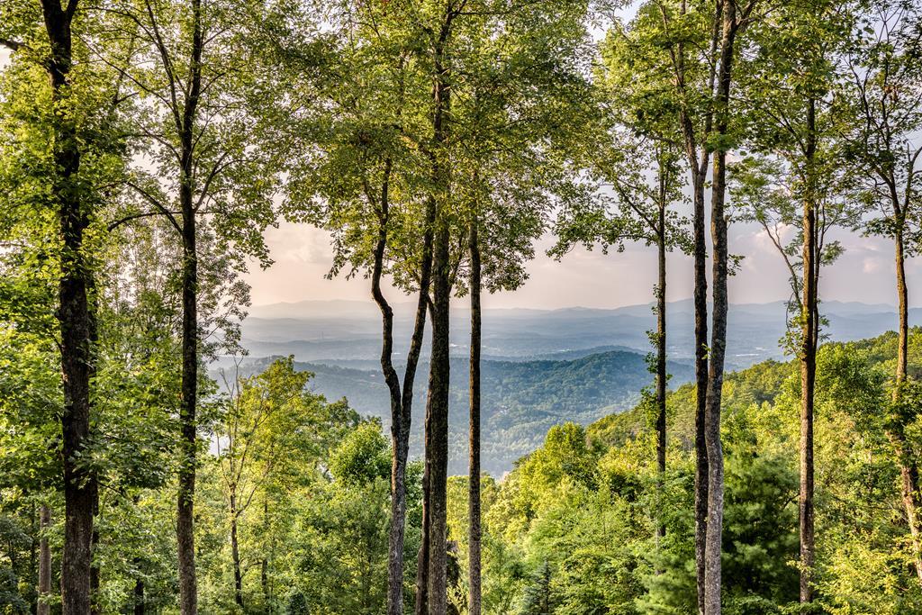 1447 Grandeur Drive Blue Ridge, GA 30513 - Photo 2 of 60 a view of lake from a tree