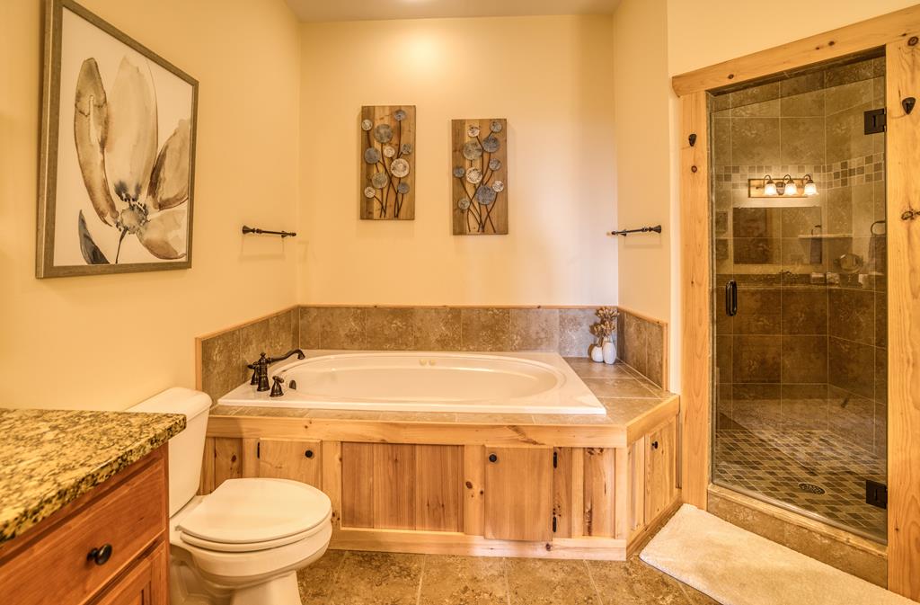 1447 Grandeur Drive Blue Ridge, GA 30513 - Photo 42 of 60 a bathroom with a sink and a toilet