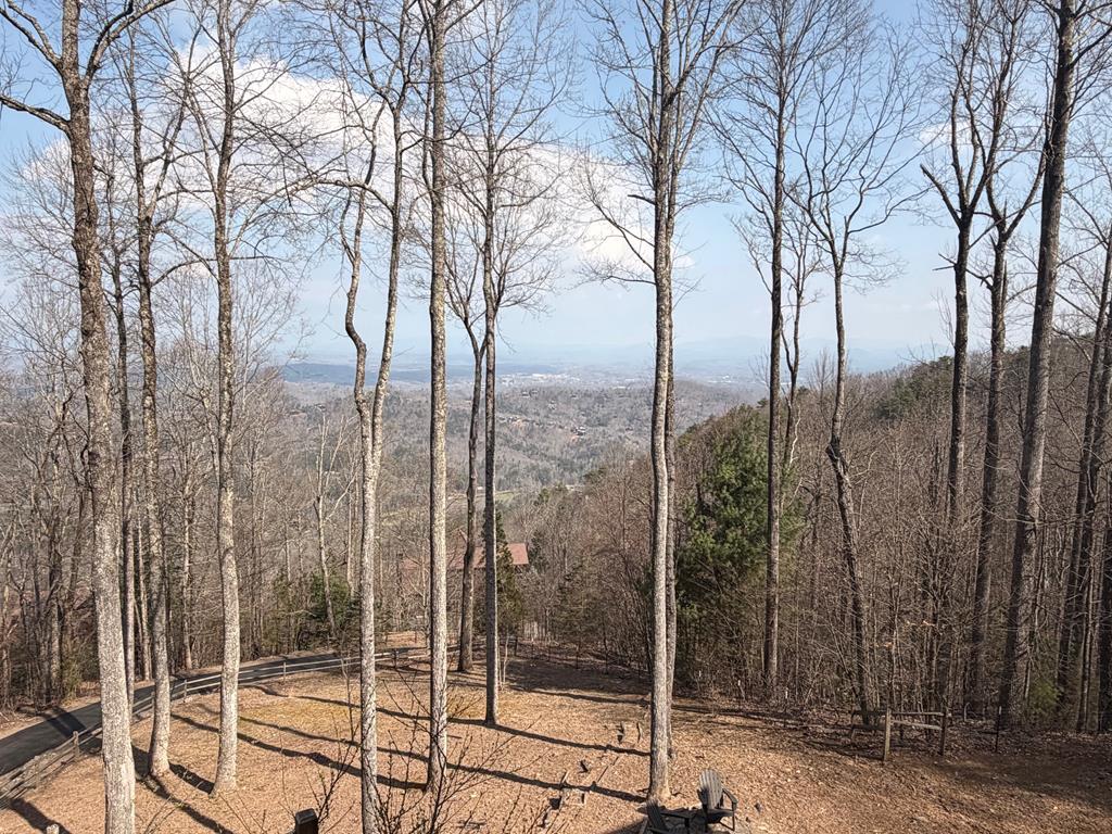 1447 Grandeur Drive Blue Ridge, GA 30513 - Photo 58 of 60