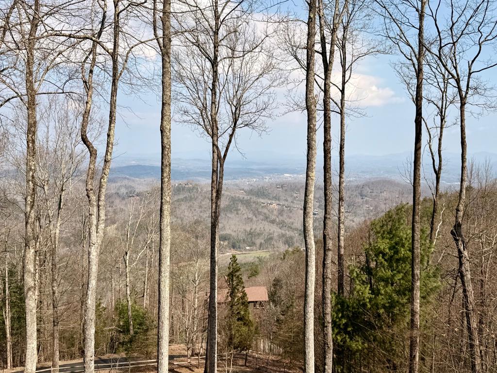 1447 Grandeur Drive Blue Ridge, GA 30513 - Photo 59 of 60