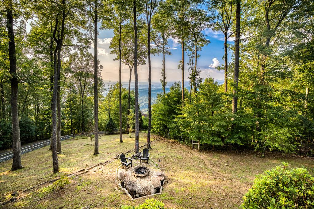 1447 Grandeur Drive Blue Ridge, GA 30513 - Photo 6 of 60 a backyard of a house with lots of green space and fountain