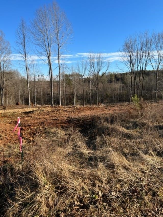 1 Liberty Chapel Road, Unit 1 Appomattox, VA 24522 - Photo 4 of 7 Gallery Image 4