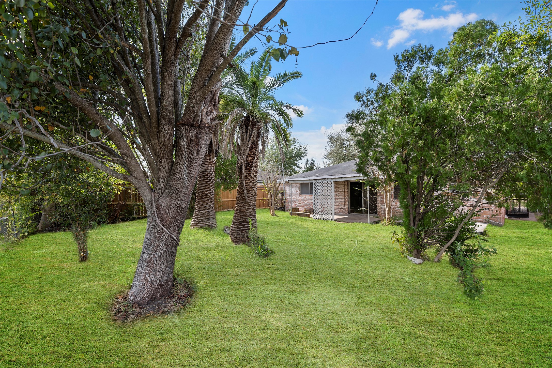13335 Ambrose Street Houston, TX 77045 - Photo 22 of 27 backyard of property shows mature trees