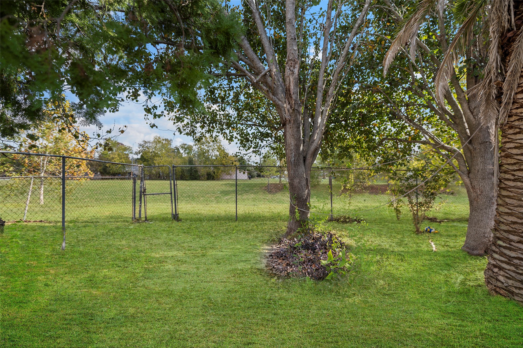 13335 Ambrose Street Houston, TX 77045 - Photo 24 of 27 backyard greenery
