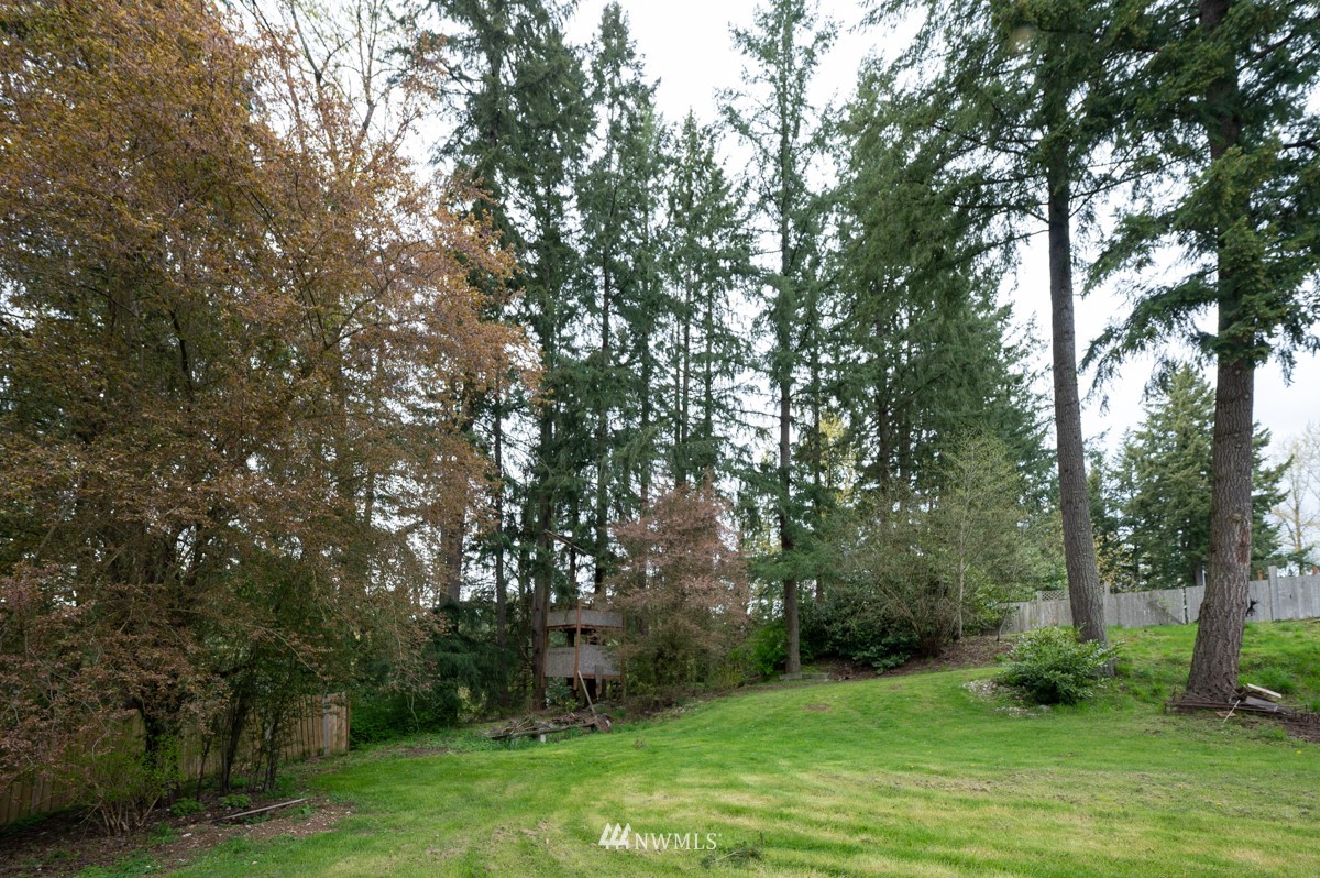 14235 169th Avenue Southeast Renton, WA 98059 - Photo 23 of 25 a view of a backyard with large trees