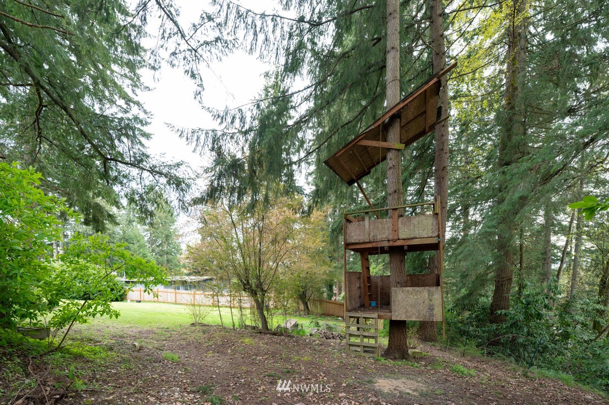 14235 169th Avenue Southeast Renton, WA 98059 - Photo 24 of 25 a view of a bench in a forest