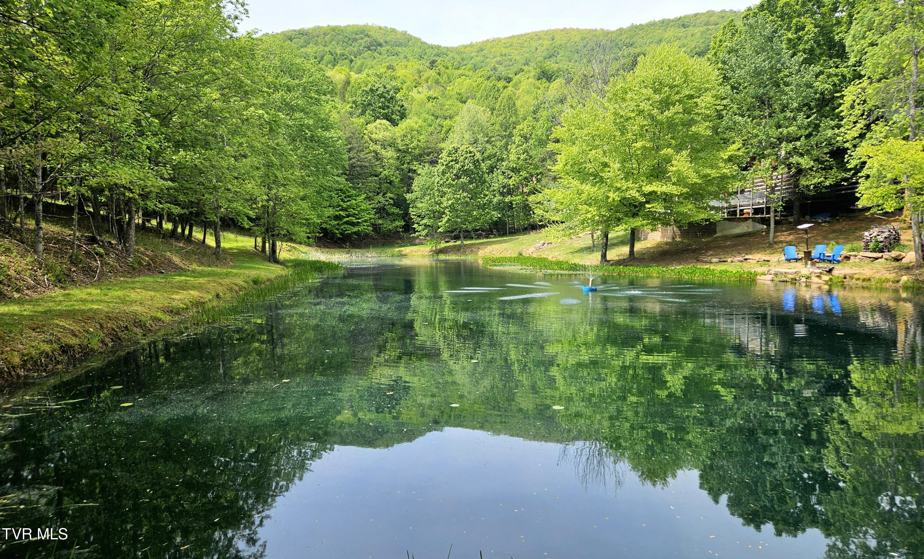 13544 Revera Drive Mendota, VA 24270 - Photo 51 of 58 Revera-Pond towards hills