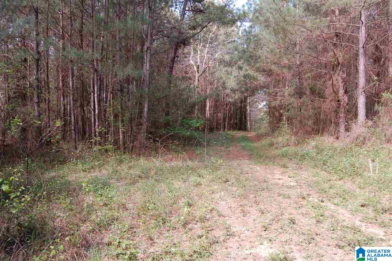 C C Road, Unit 40 00 Vinemont, AL 35179 - Photo 3 of 12