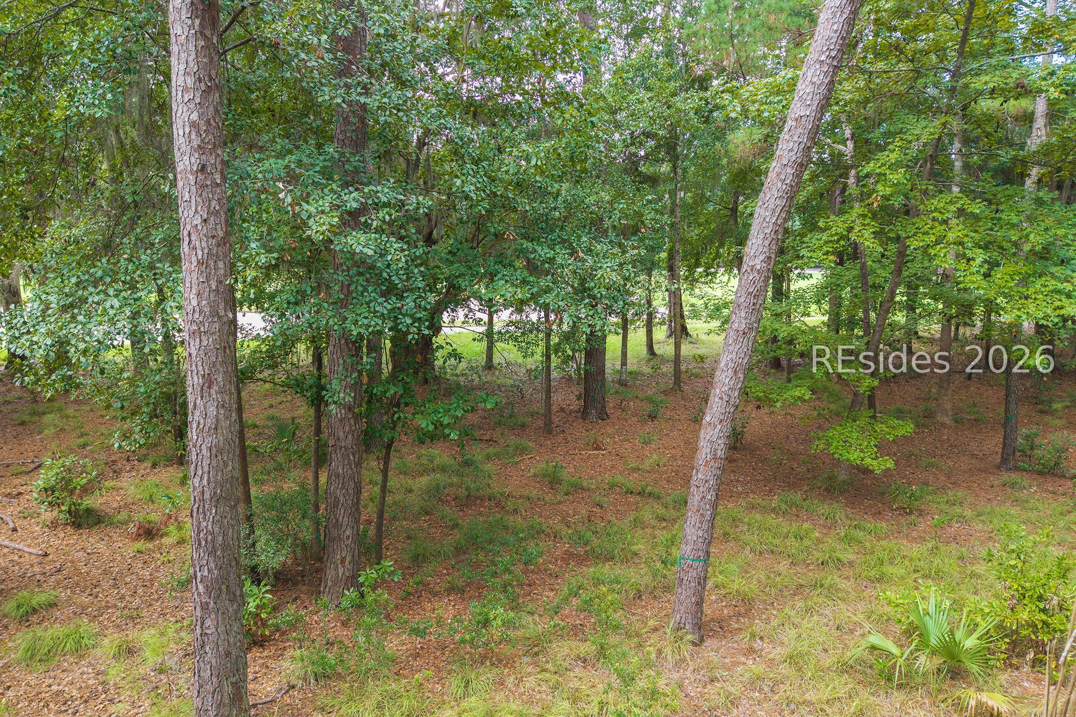 22 Smilax Vine Road Bluffton, SC 29910 - Photo 13 of 28 Gallery Image 13