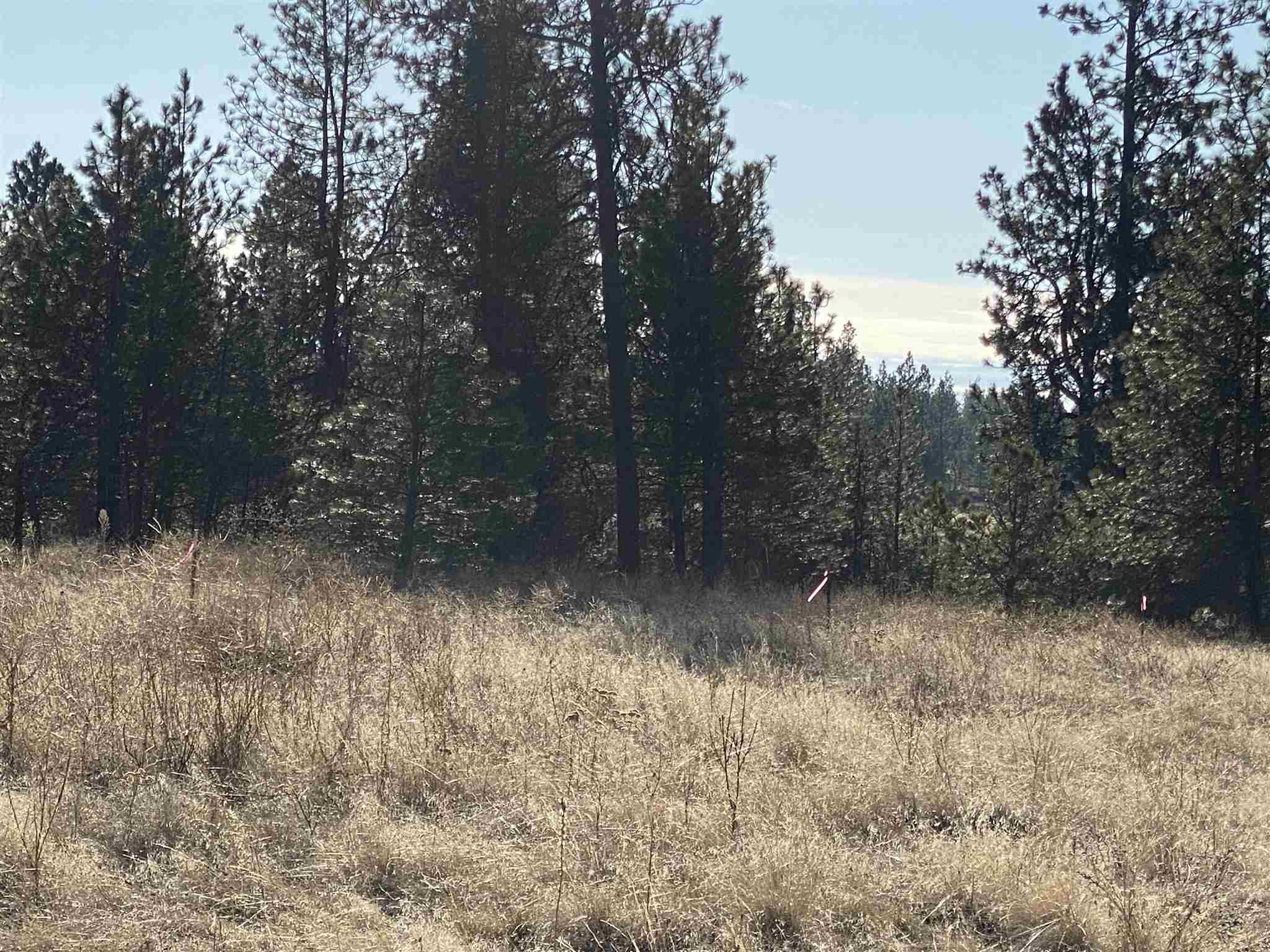 19609 South Harrison Road Edwall, WA 99008 - Photo 19 of 20