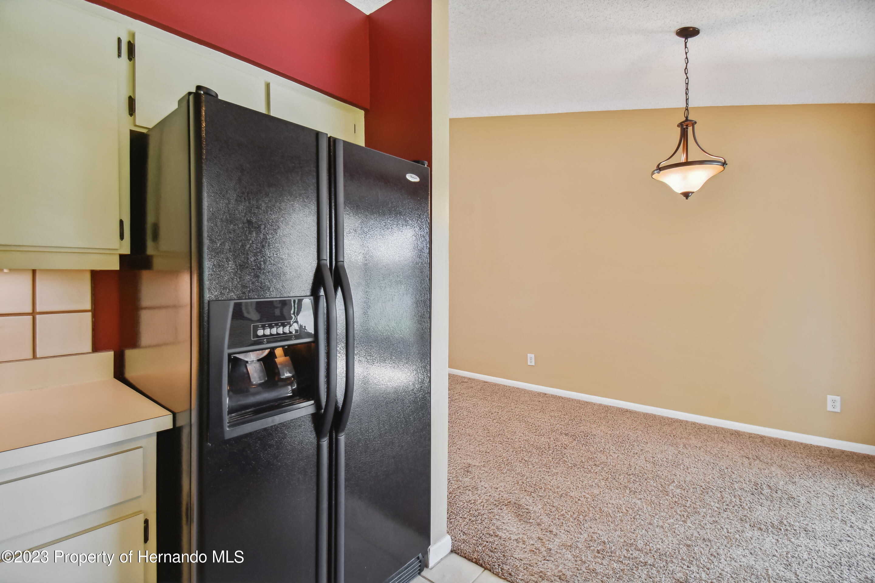 1735 Elk Spring Drive Brandon, FL 33511 - Photo 20 of 49 a kitchen with a refrigerator and a sink