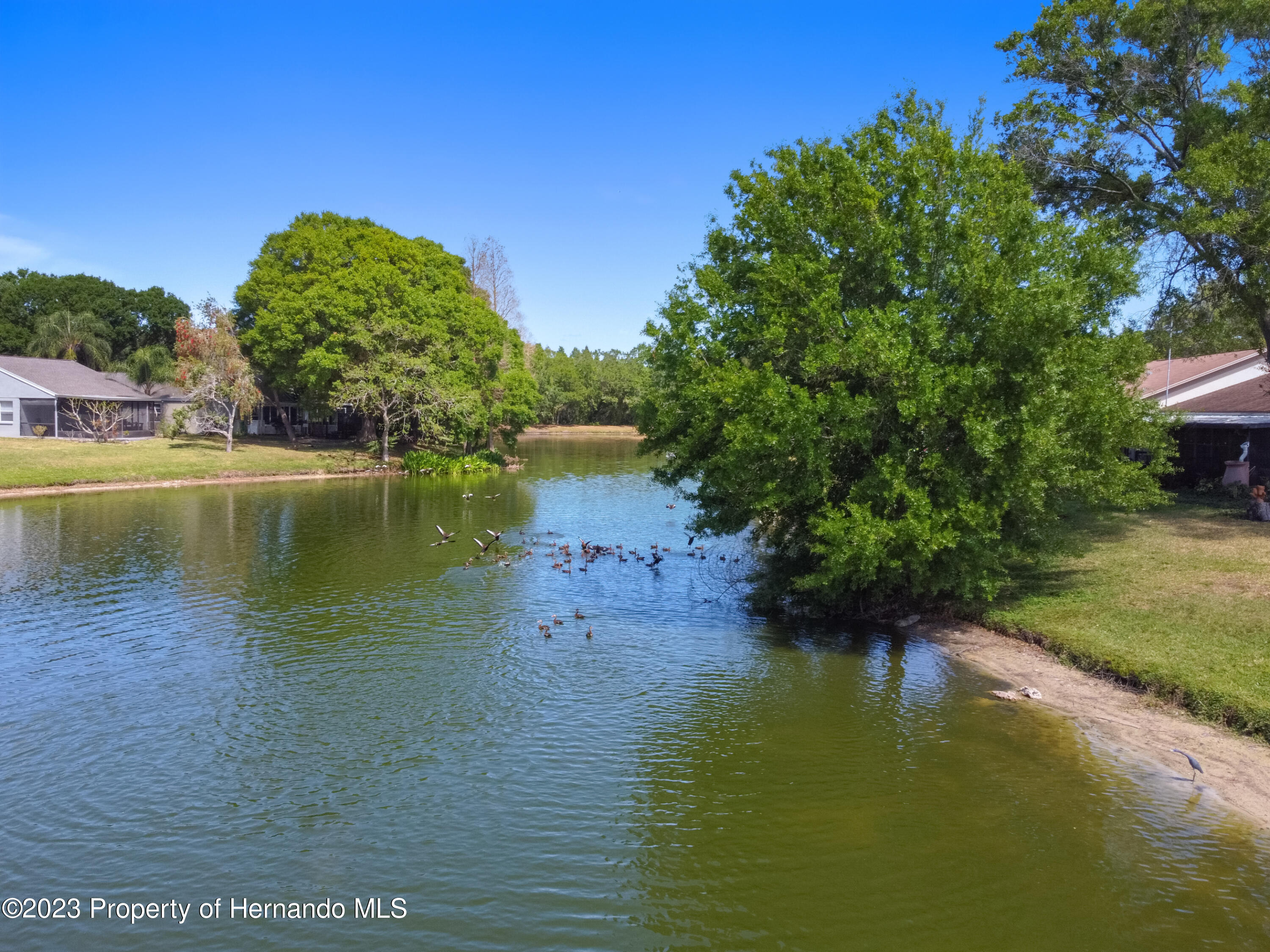 1735 Elk Spring Drive Brandon, FL 33511 - Photo 2 of 49 a view of a lake with houses in the background