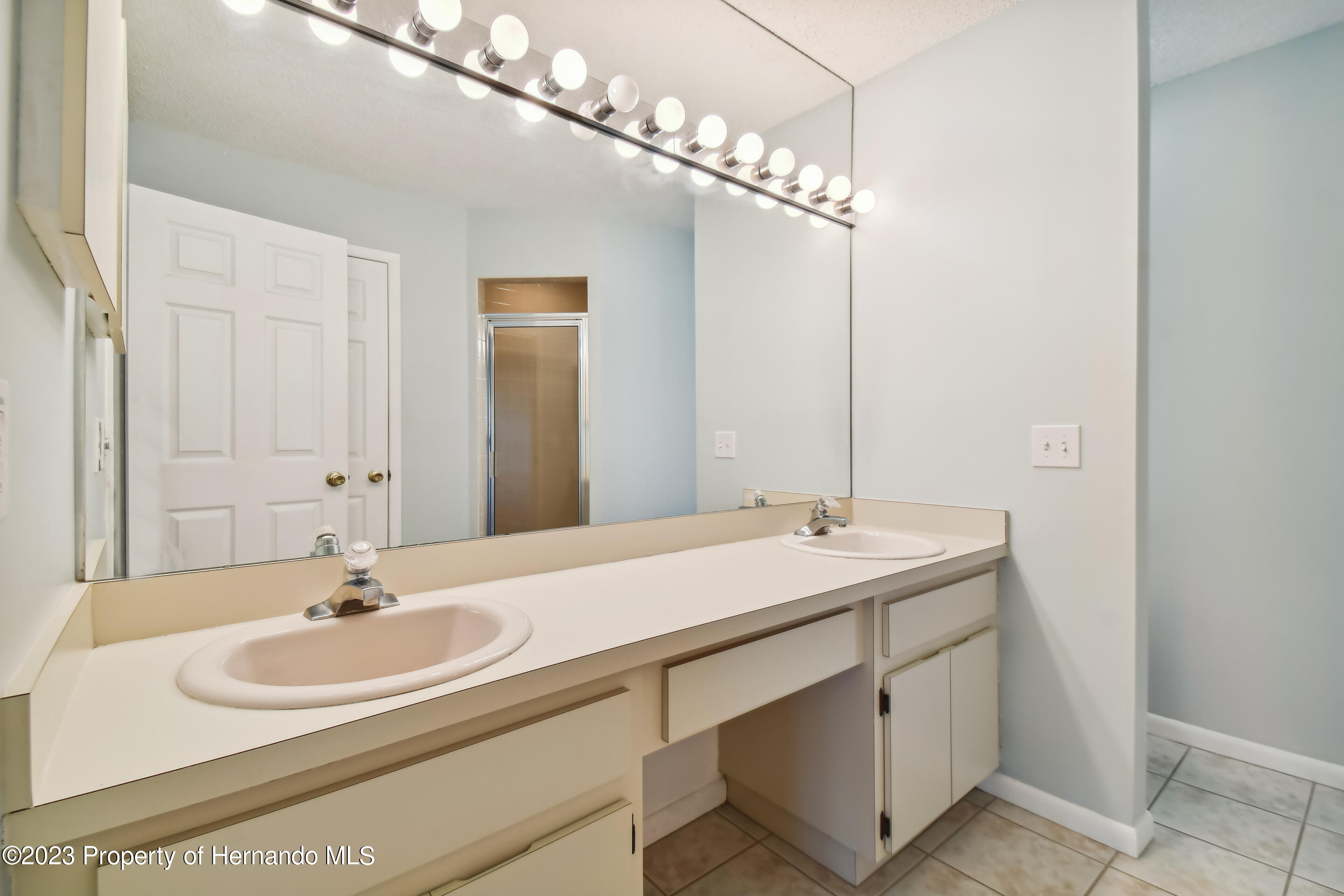 1735 Elk Spring Drive Brandon, FL 33511 - Photo 24 of 49 a bathroom with a sink and a mirror