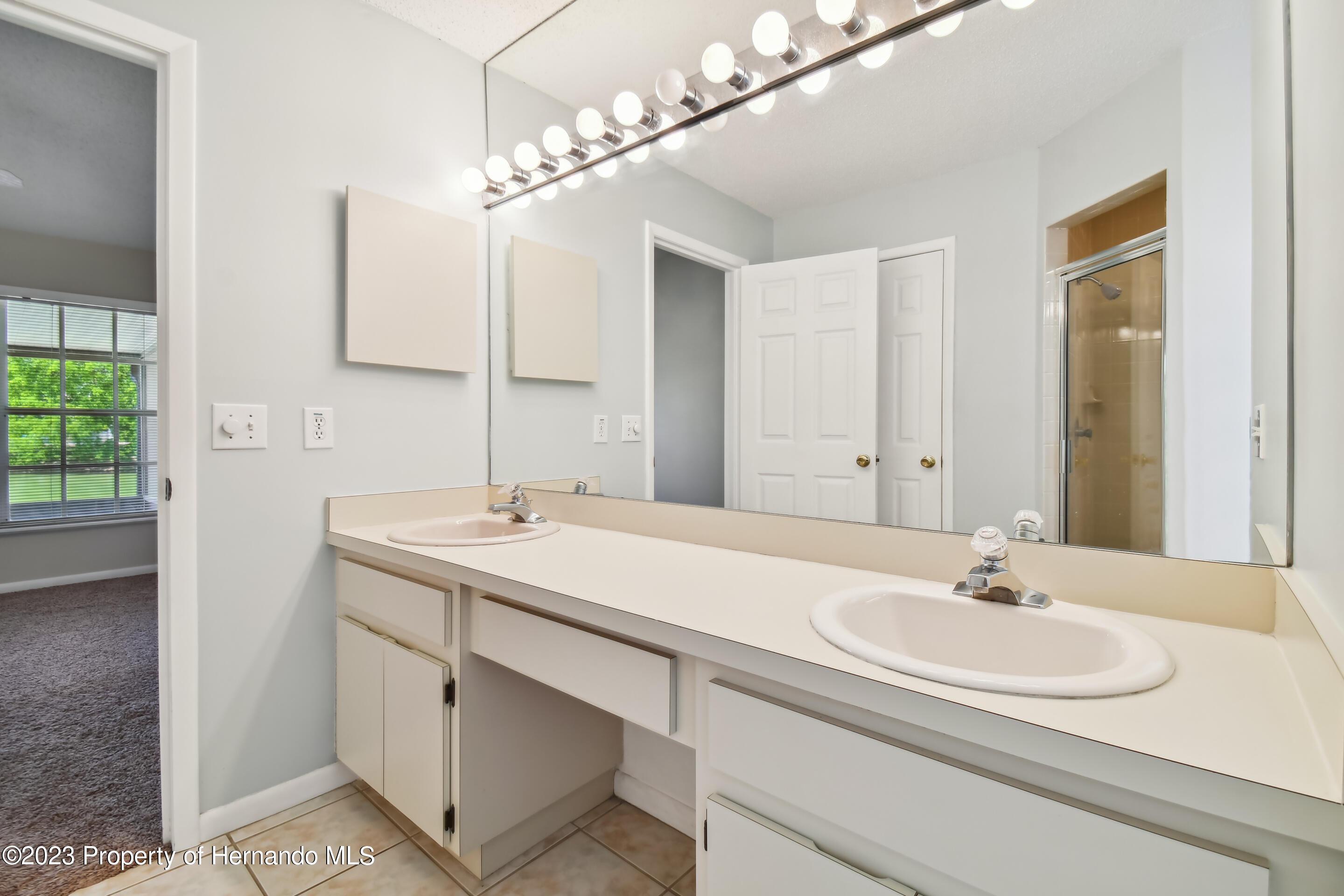 1735 Elk Spring Drive Brandon, FL 33511 - Photo 25 of 49 a bathroom with a sink and a mirror