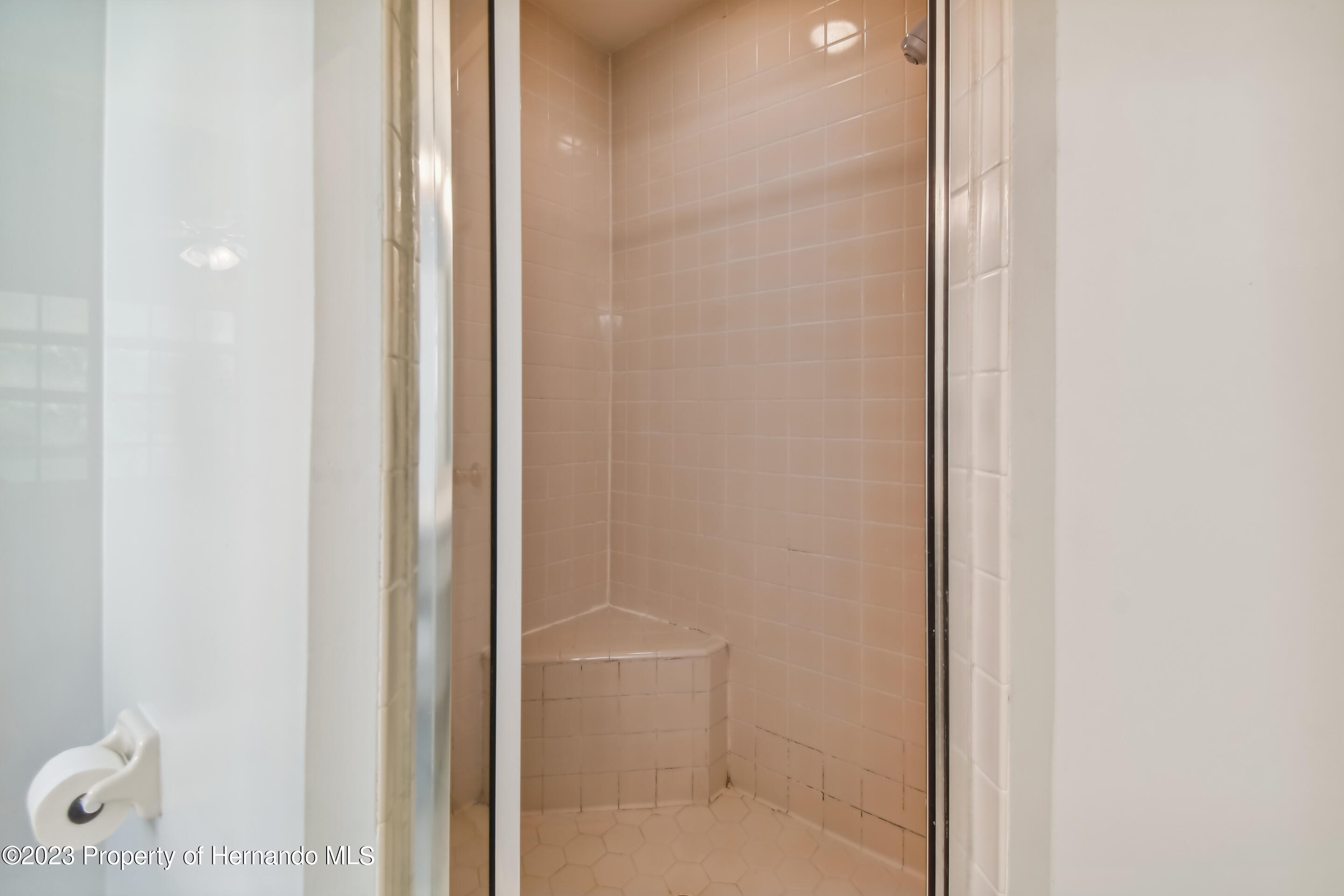 1735 Elk Spring Drive Brandon, FL 33511 - Photo 26 of 49 a bathroom with a glass shower door