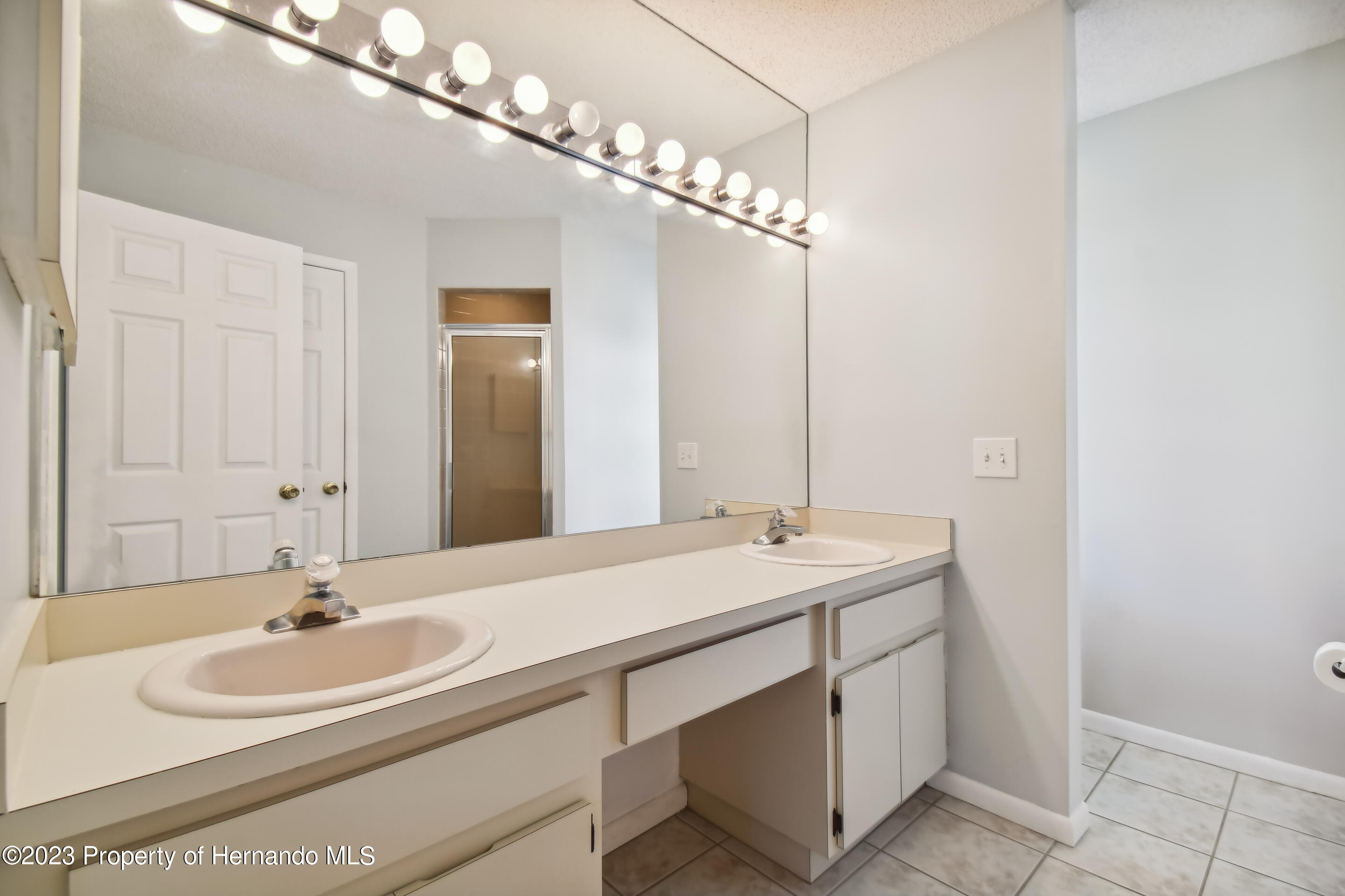 1735 Elk Spring Drive Brandon, FL 33511 - Photo 27 of 49 a bathroom with a sink and a mirror