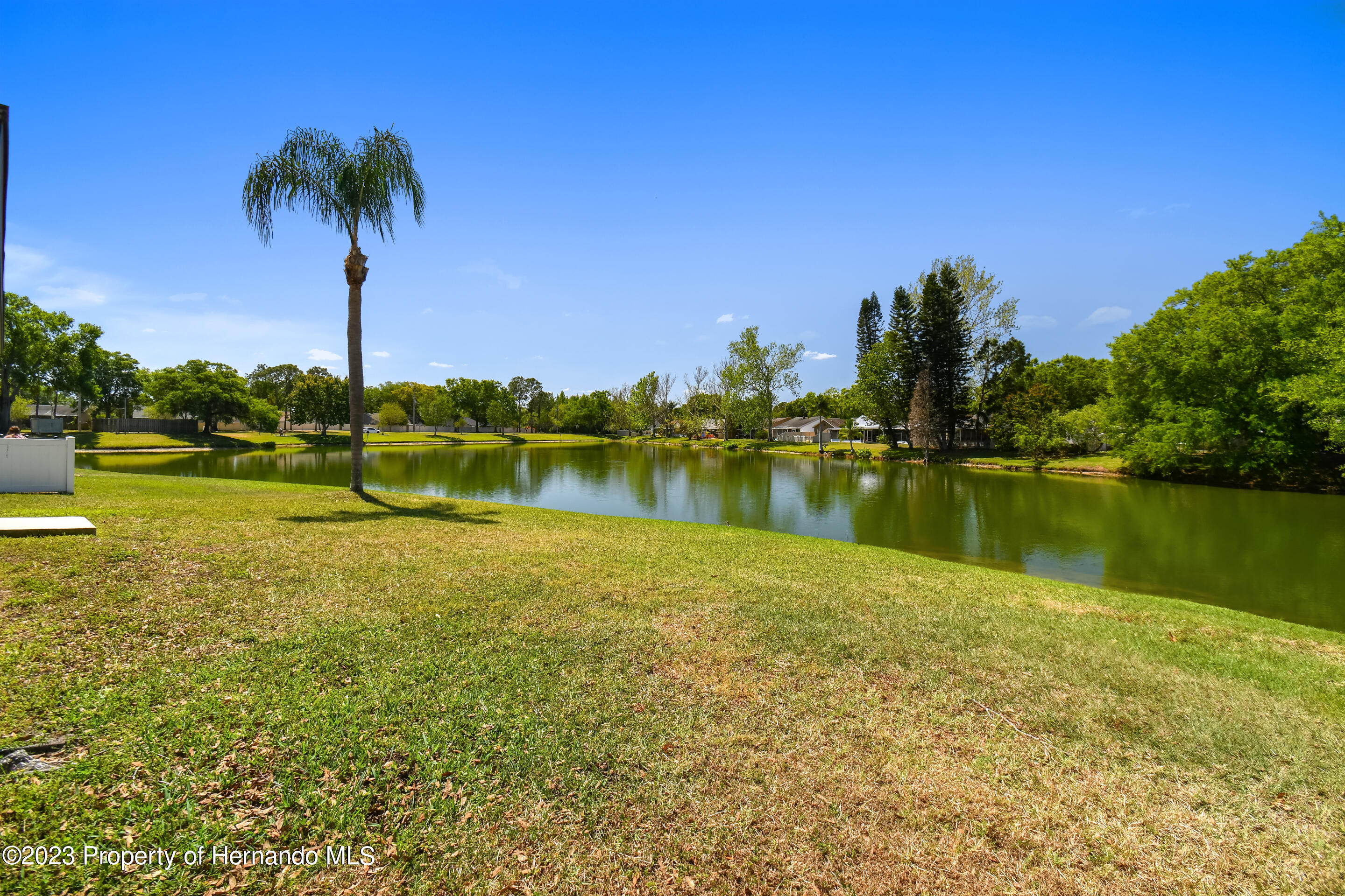 1735 Elk Spring Drive Brandon, FL 33511 - Photo 29 of 49 a view of a lake with a palm trees