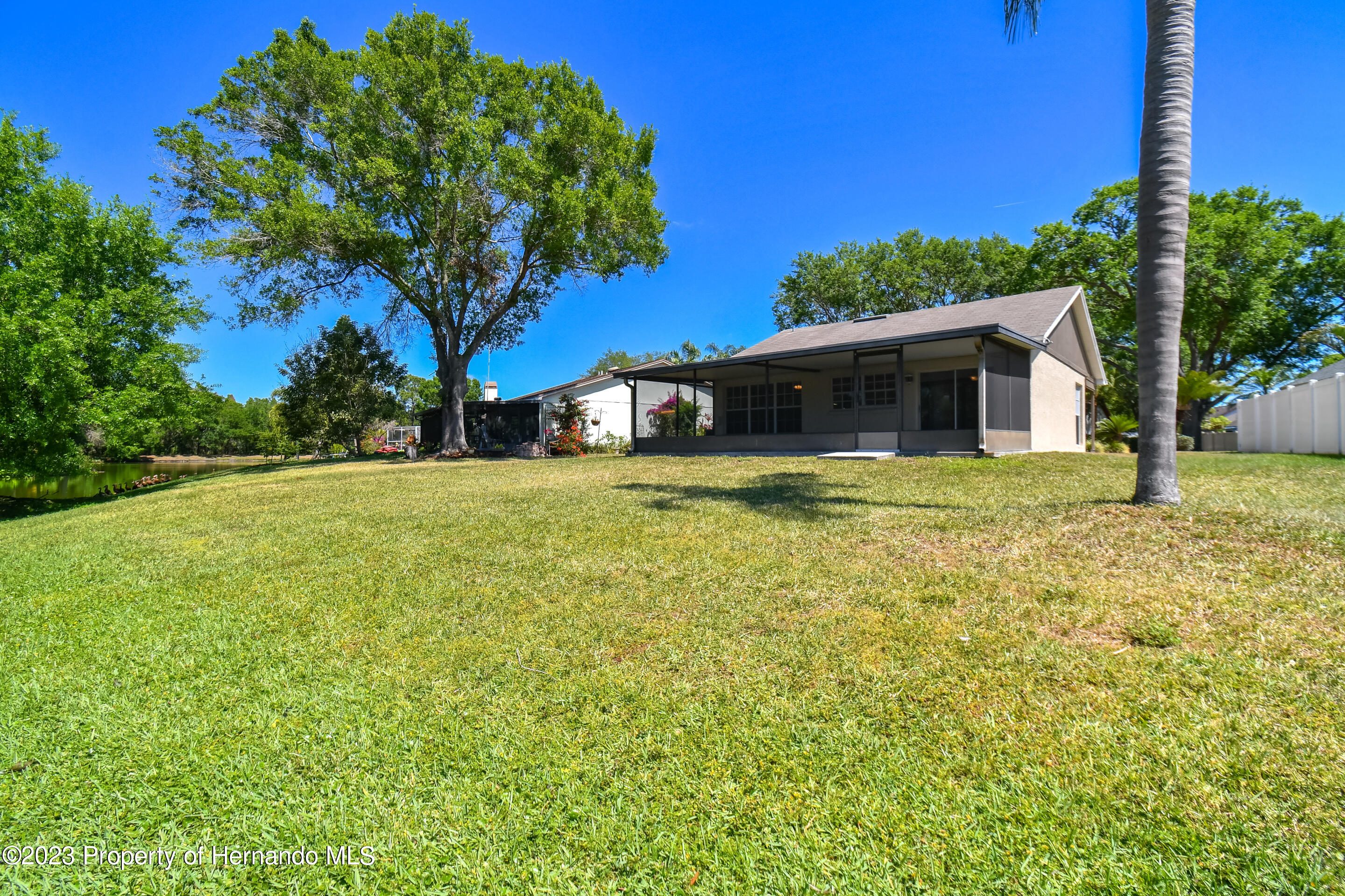 1735 Elk Spring Drive Brandon, FL 33511 - Photo 33 of 49 a view of a house with a backyard