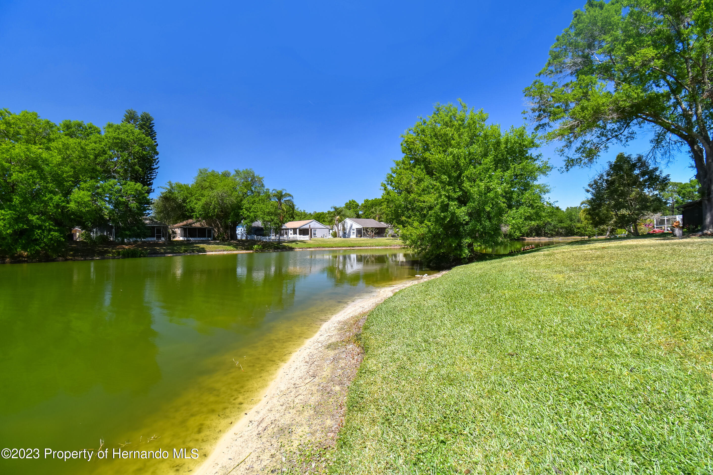 1735 Elk Spring Drive Brandon, FL 33511 - Photo 34 of 49 a view of a lake with a yard