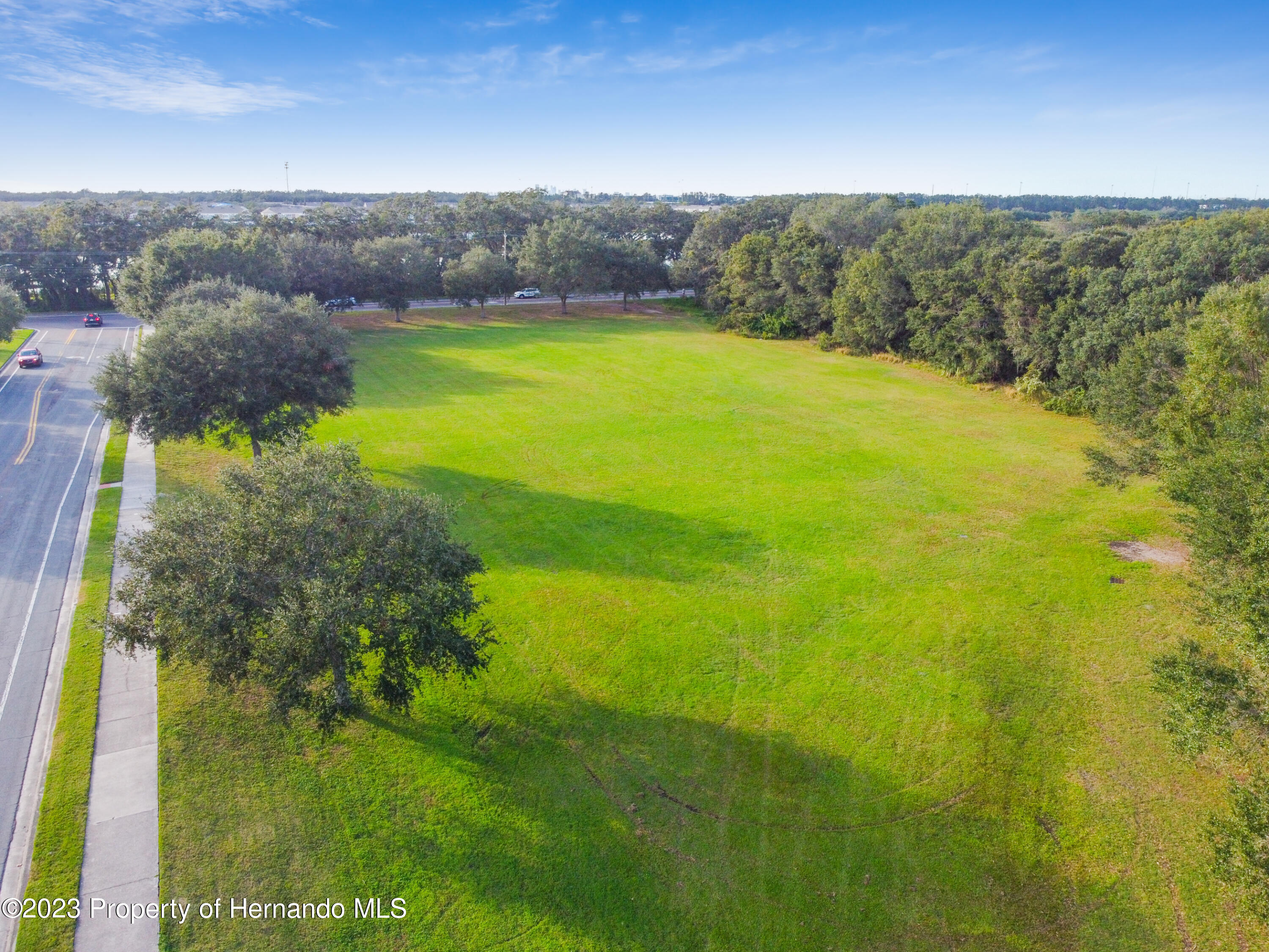 1735 Elk Spring Drive Brandon, FL 33511 - Photo 47 of 49 a view of an ocean from a yard