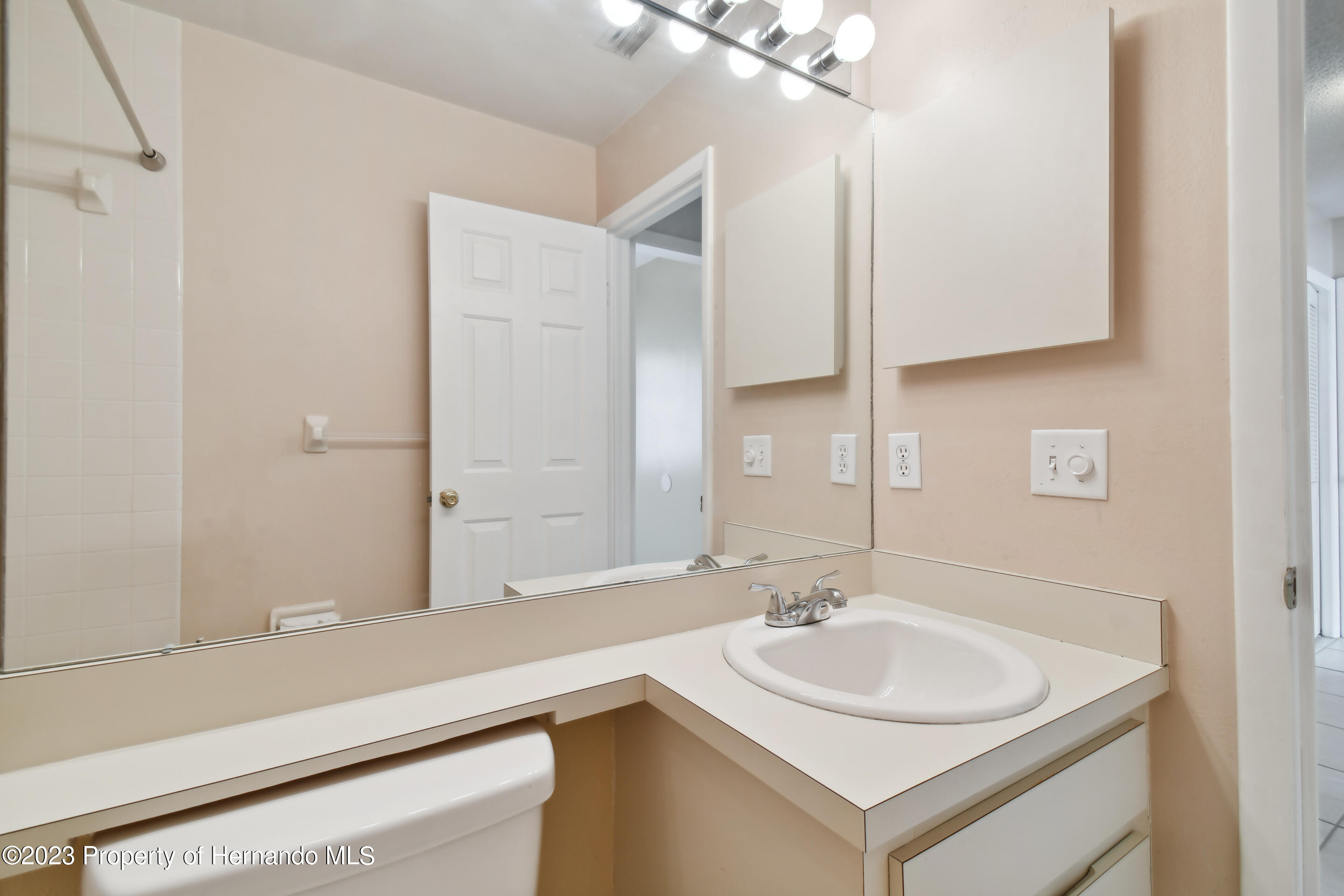 1735 Elk Spring Drive Brandon, FL 33511 - Photo 8 of 49 a bathroom with a sink and a mirror