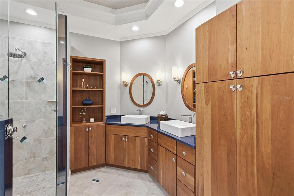 7060 Whitemarsh Circle Lakewood Ranch, FL 34202 - Photo 22 of 56 a bathroom with a sink a mirror and a shower