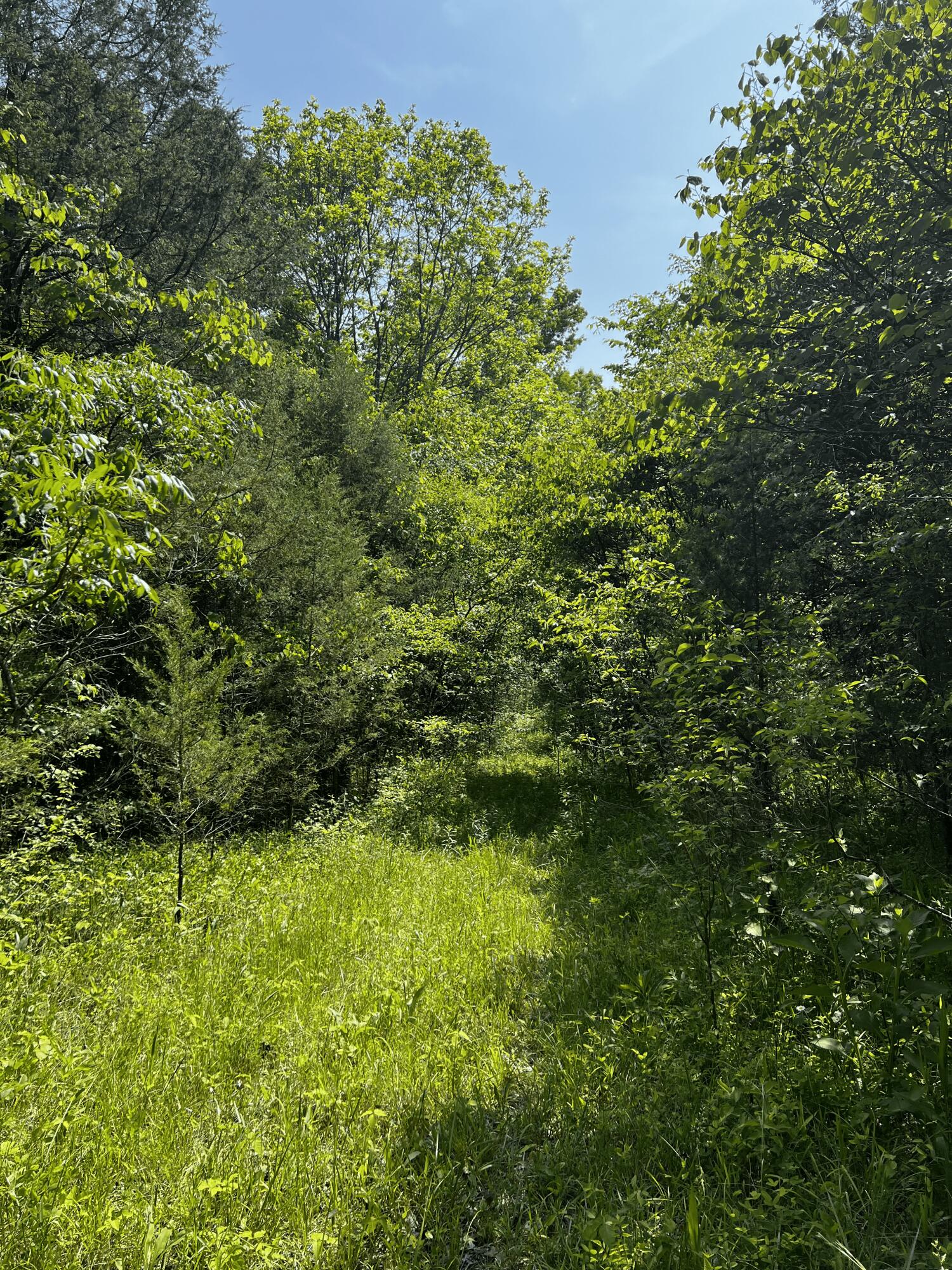 0 Long Lick Farm Road Shepherdsville, KY 40165 - Photo 23 of 26 IMG_3041 (1) (1)