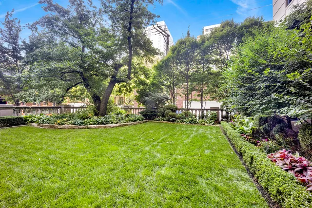 a view of a park with large trees