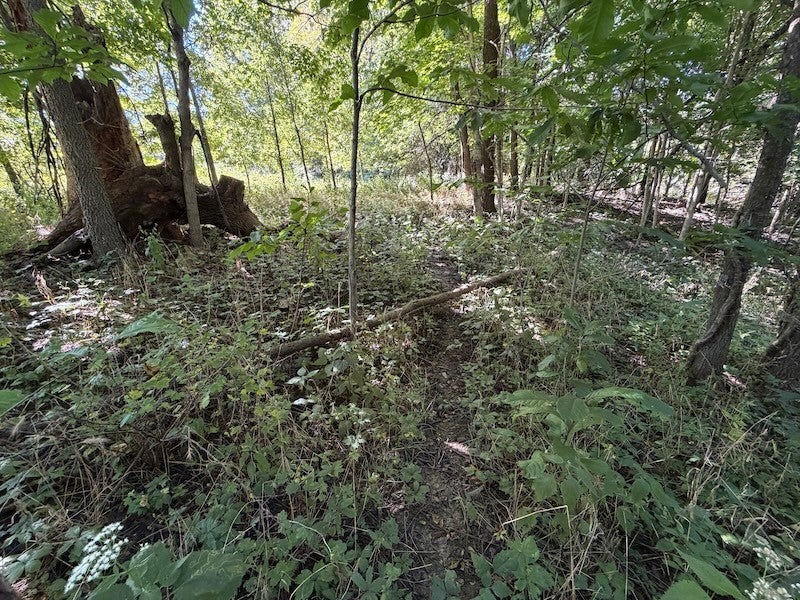 14207 200 East Road Fithian, IL 61844 - Photo 100 of 100 Gallery Image 100