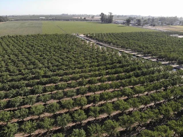 a view of a lake with a yard