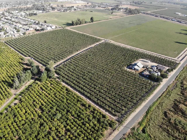 a view of a yard with trees in front of it