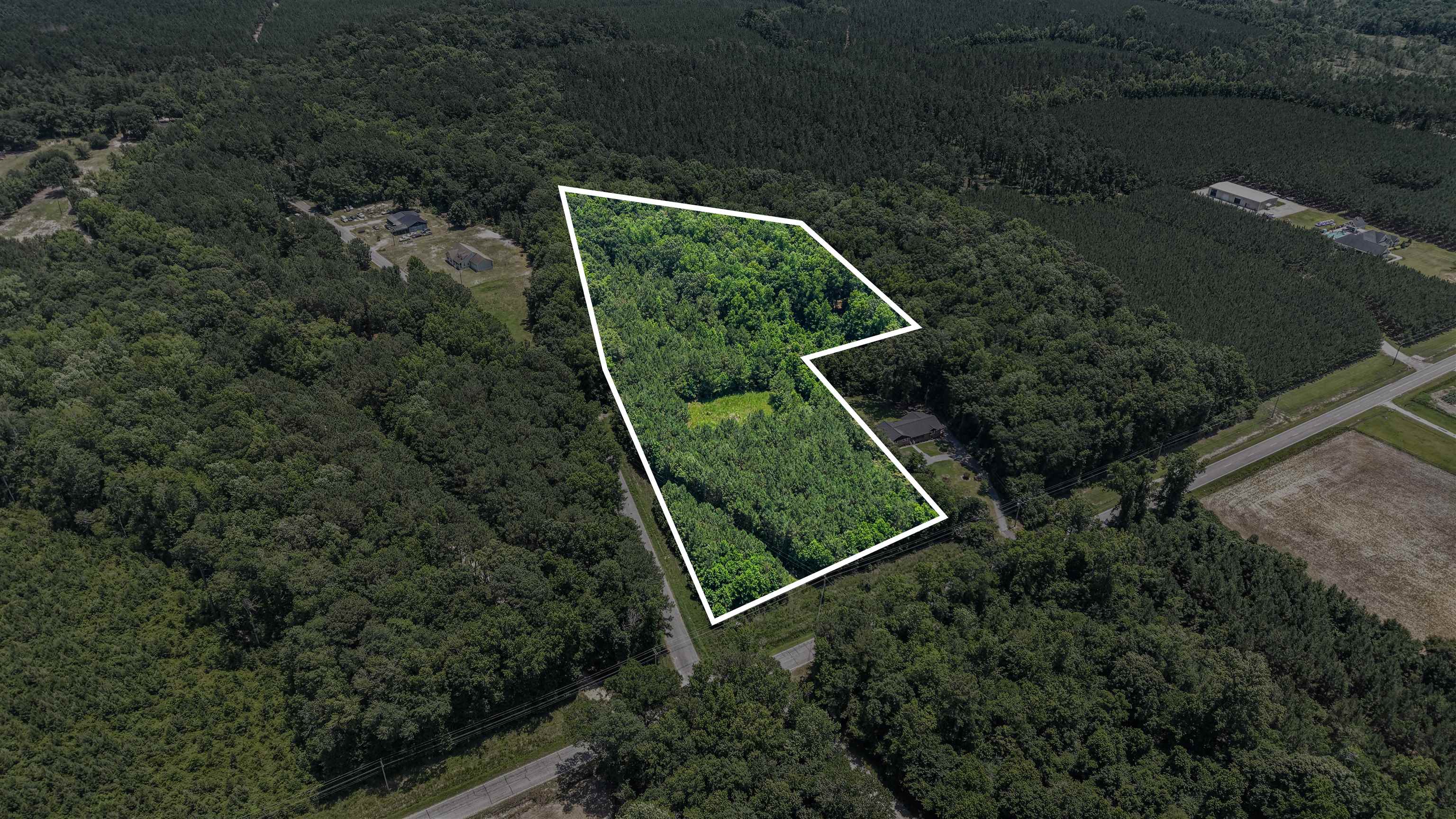 Tbd Tbd Rose Hill Road Georgetown, SC 29440 - Photo 6 of 17