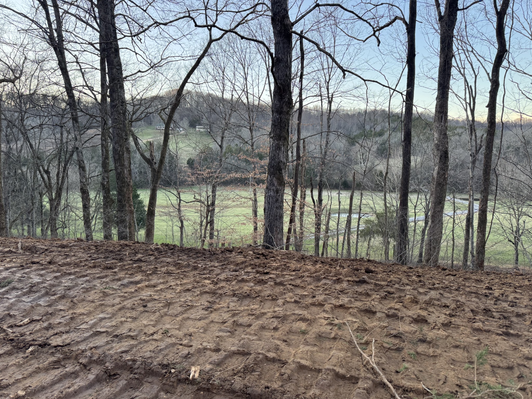 2878 Springplace Road Belfast, TN 37019 - Photo 10 of 12 Gallery Image 10