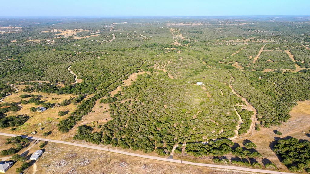 134 White Pearl Road Hunt, TX 78024 - Photo 24 of 40 an aerial view of residential houses with outdoor space and trees