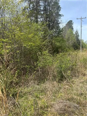 $100,000 | 0 Blanchard Road, Burlington, NC 27217