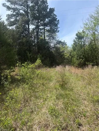 $100,000 | 0 Blanchard Road, Burlington, NC 27217