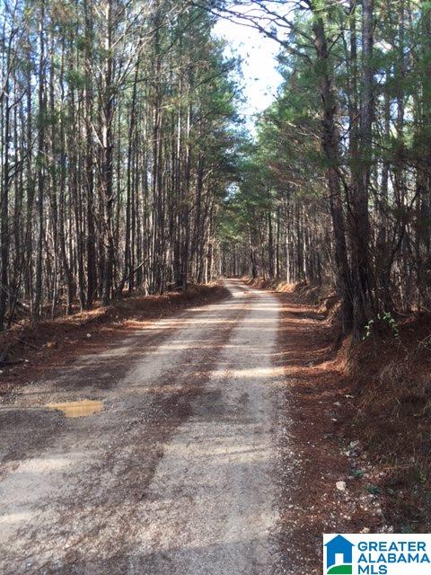 Story Road, Unit 201 Woodstock, AL 35188 - Photo 6 of 11