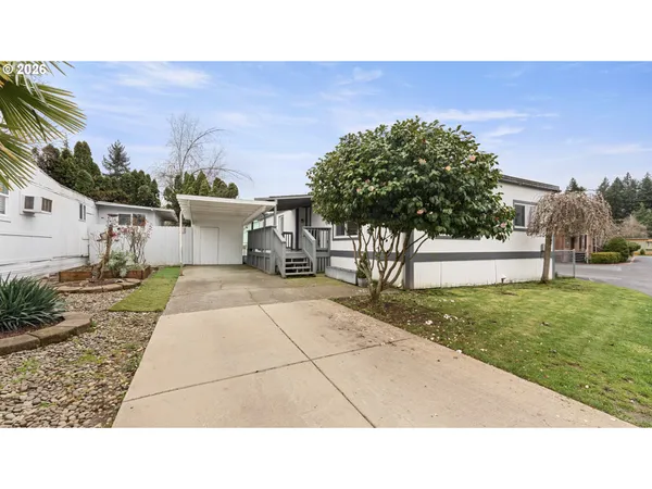 a black and white photo of a backyard