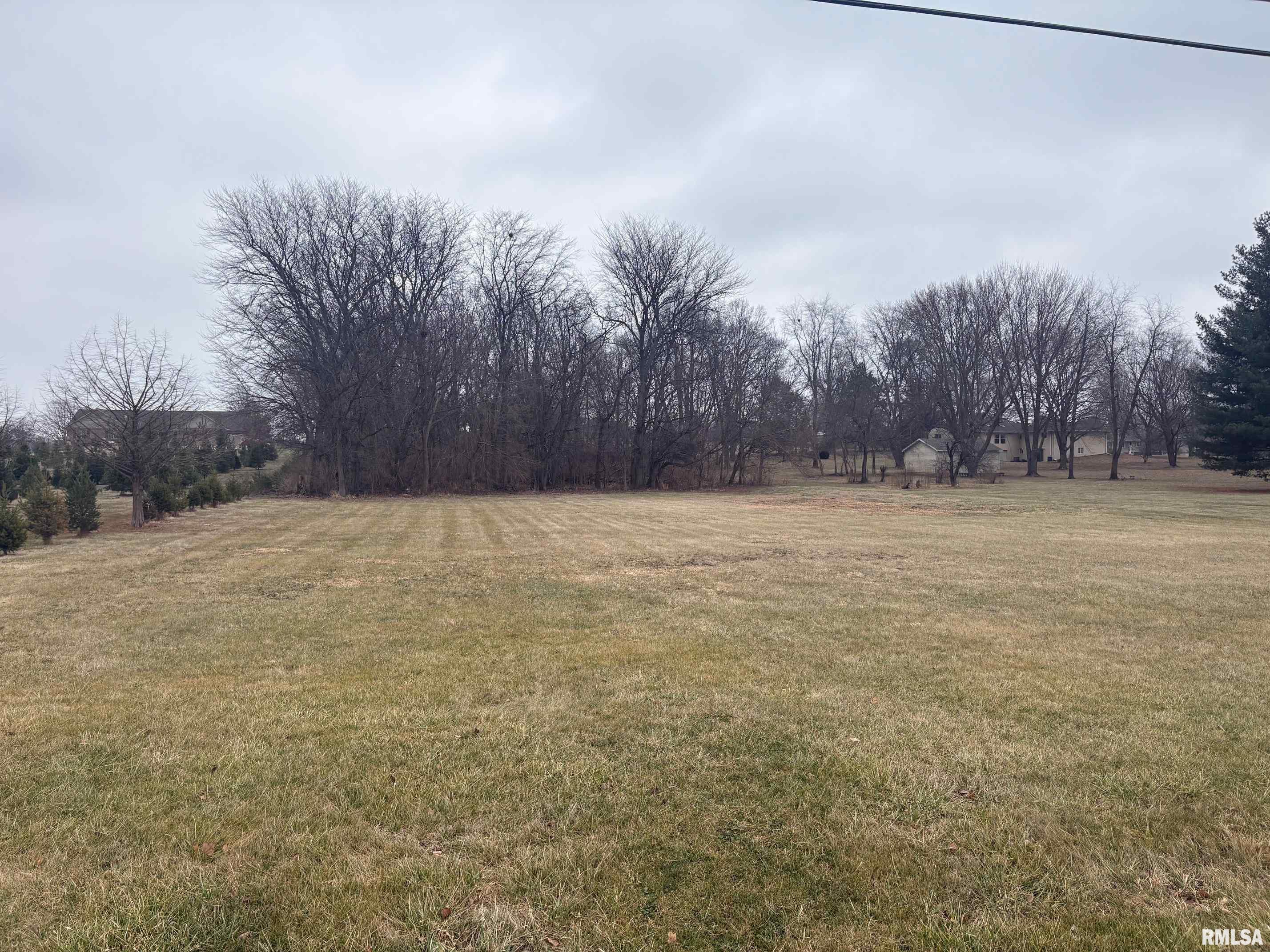 Lot 16 North Wayne Road Chillicothe, IL 61523 - Photo 3 of 3