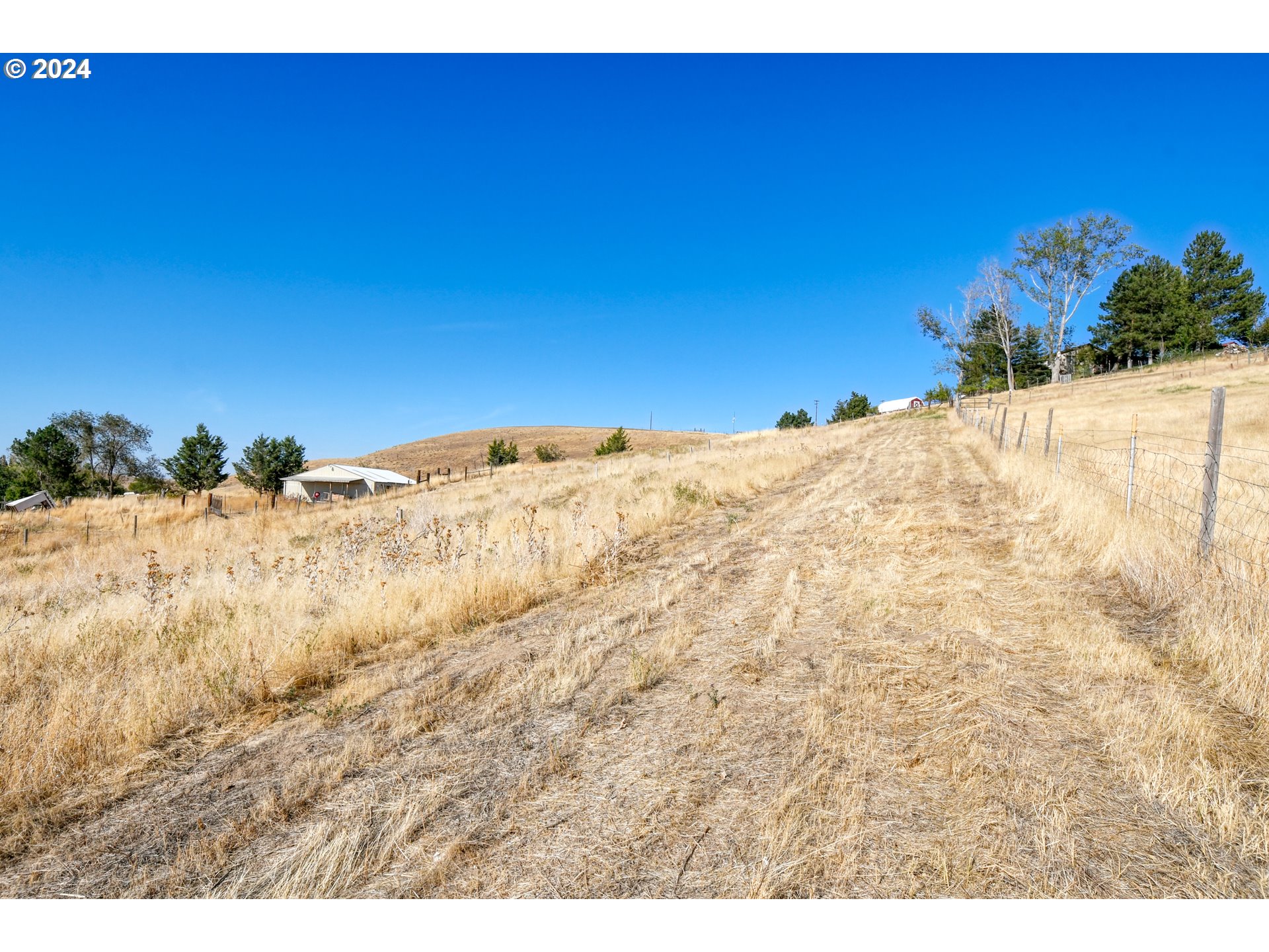 Jerico Lane Pendleton, OR 97801 - Photo 33 of 39 a view of a dry yard