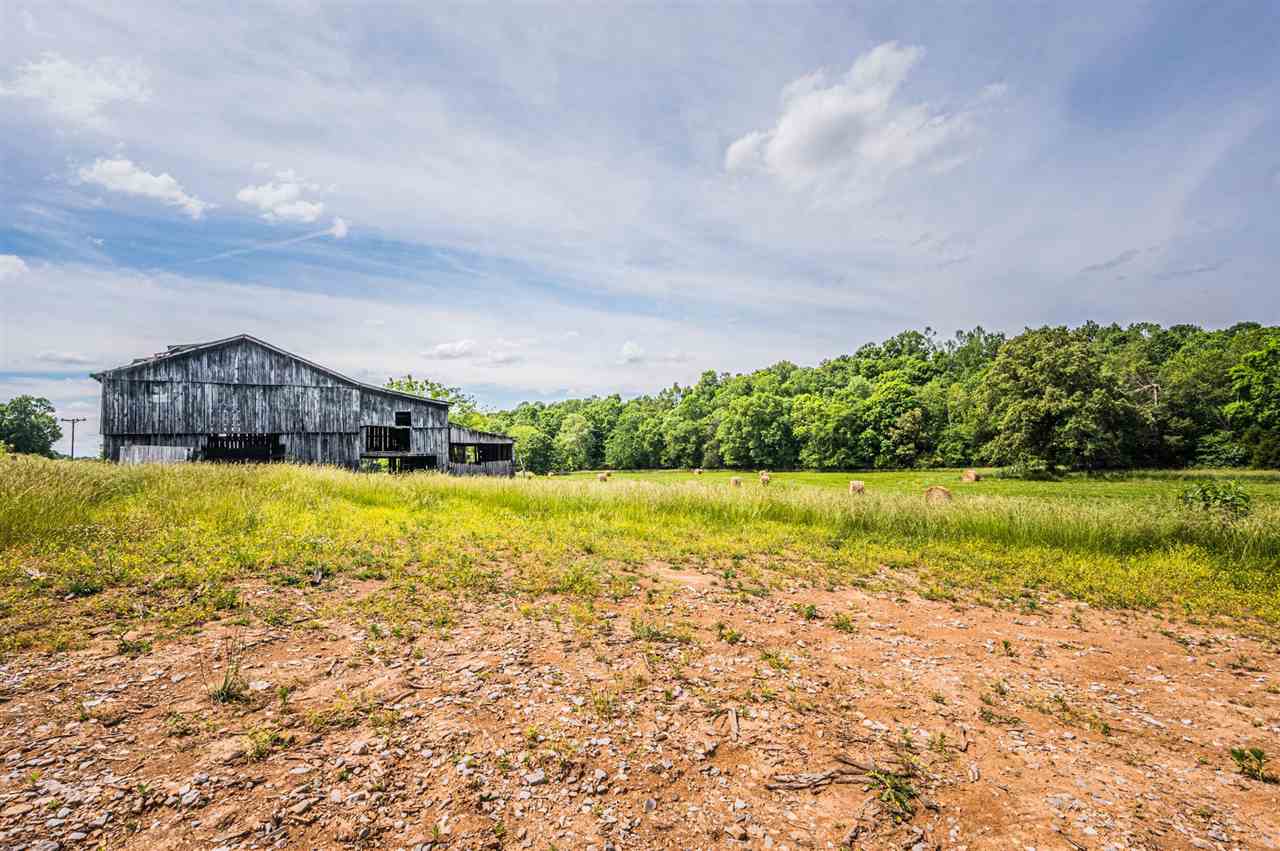 493 Caney Fork Road Glasgow, KY 42141 - Photo 3 of 14 Gallery Image 3