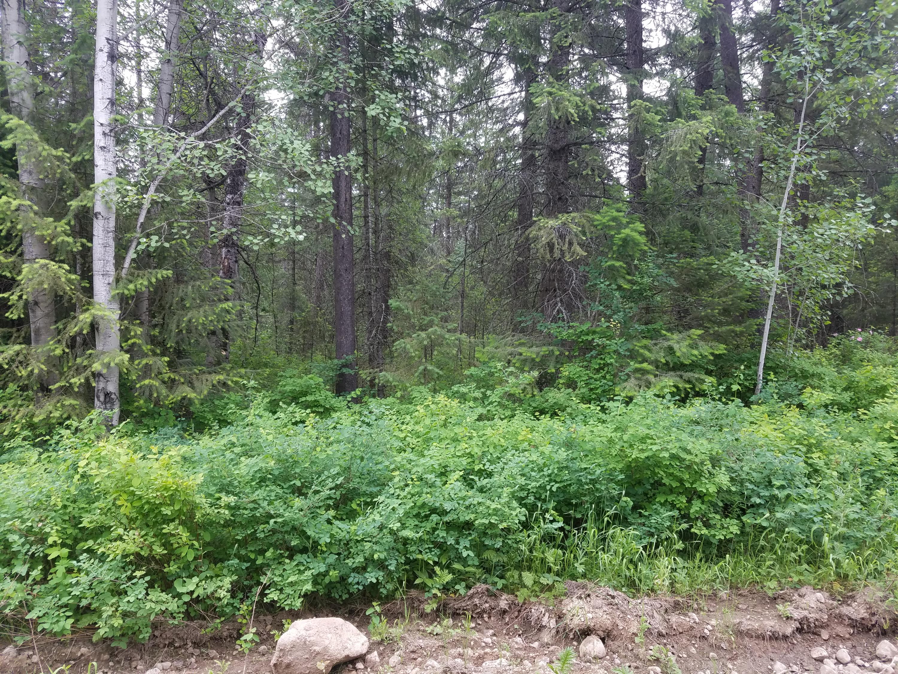 Nka North Marsili Road Spirit Lake, ID 83869 - Photo 1 of 1 MARSILI 5 ACRES
