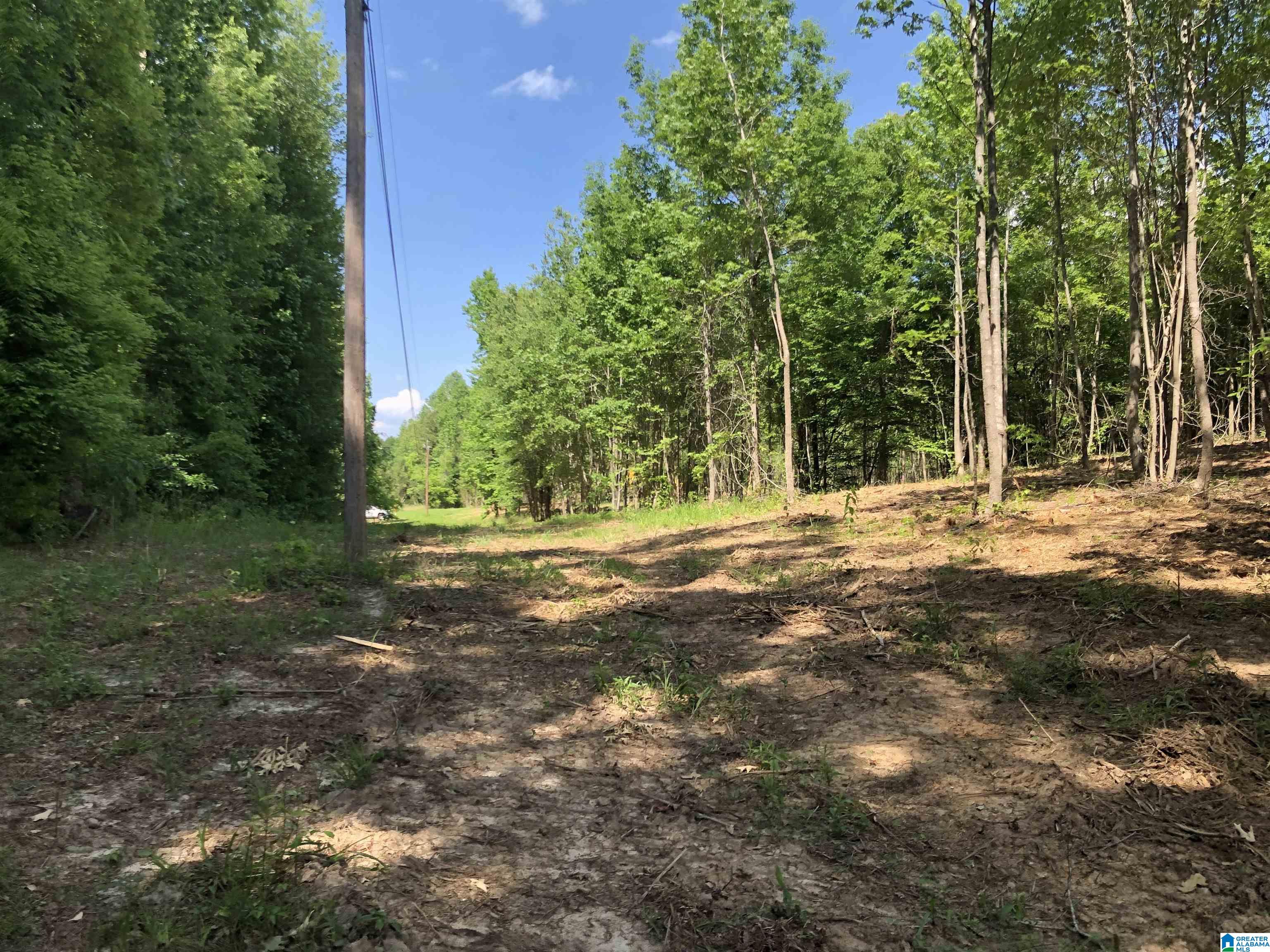 0 Peeks Hill Road, Unit 3 Ohatchee, AL 36271 - Photo 1 of 10