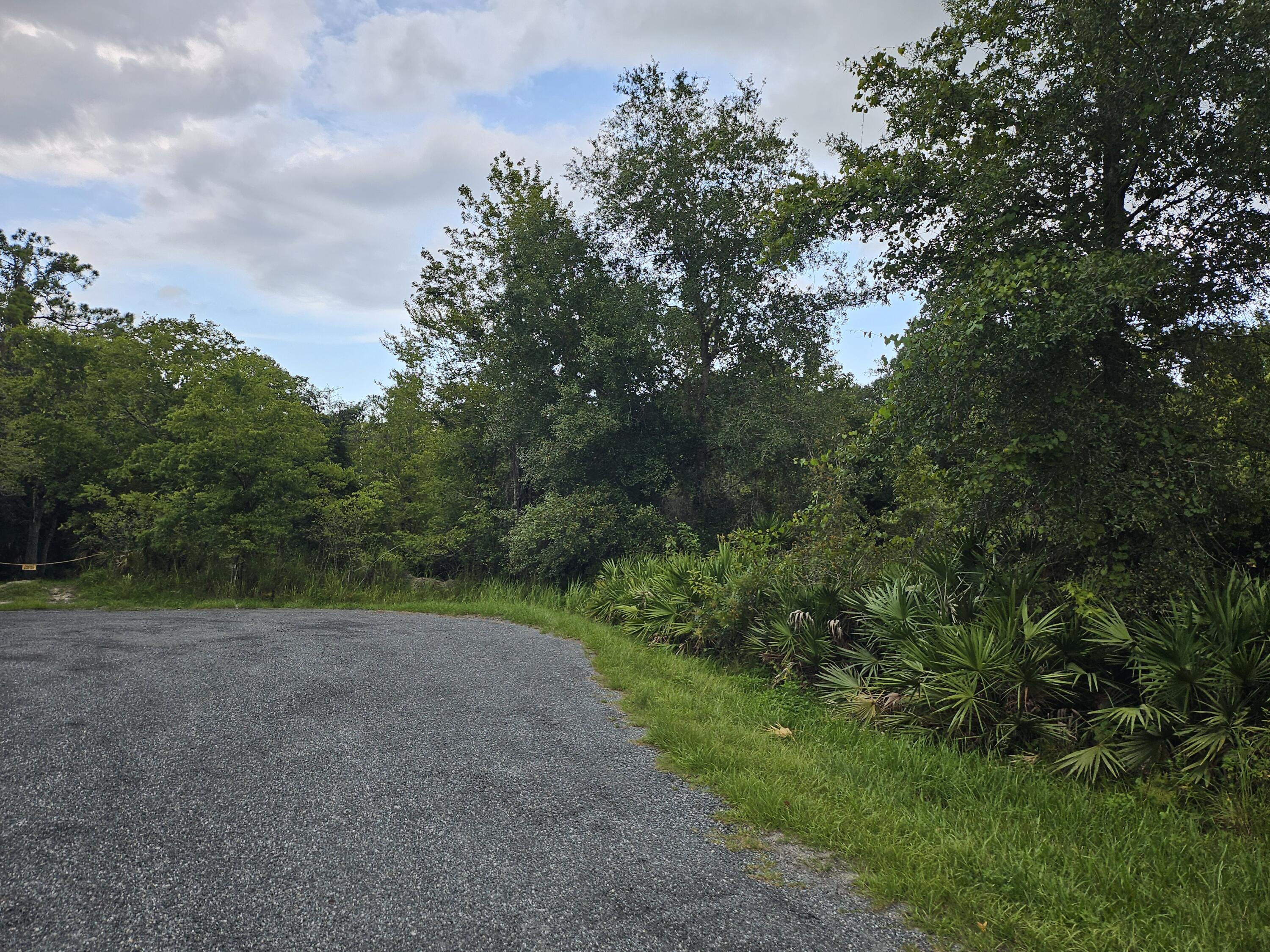0 Grape Avenue Okeechobee, FL 34972 - Photo 2 of 2 a view of a field with trees in the background