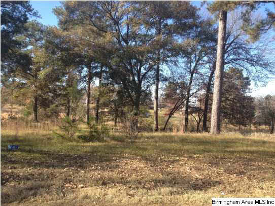 1412 Eastern Valley Road, Unit 1 3ACRES Bessemer, AL 35022 - Photo 3 of 4