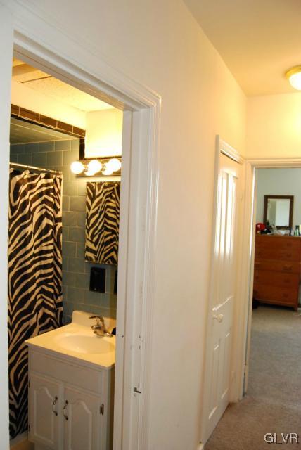 606 West Broad Street, Unit F Bethlehem, PA 18018 - Photo 14 of 16 Peek into the bathroom...