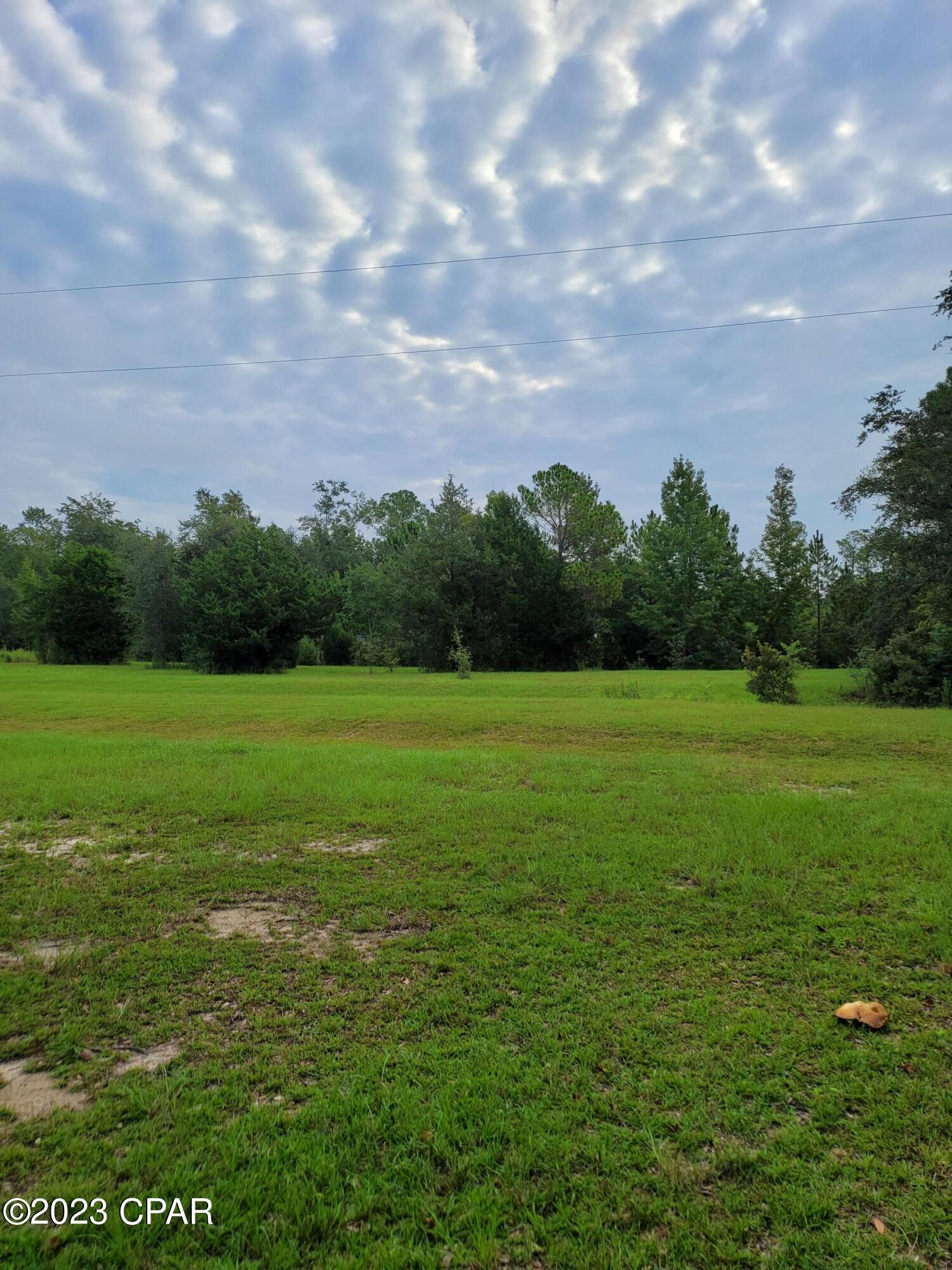 974 Brickyard Road Chipley, FL 32428 - Photo 3 of 3